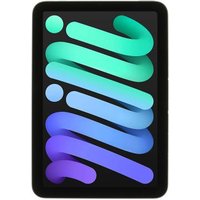 Apple iPad mini 2021 Wi-Fi 64Go gris sidéral - bon état