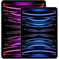 Apple iPad Pro 11 Wi-Fi 2022 128Go gris sidéral - très bon état