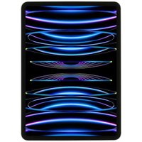 Apple iPad Pro 11 Wi-Fi + Cellular 2022 128Go argent - comme neuf