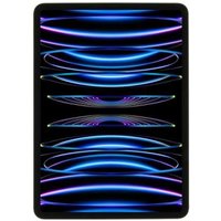 Apple iPad Pro 11 Wi-Fi + Cellular 2022 256Go gris sidéral - très bon état