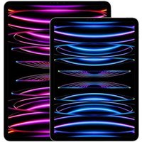 Apple iPad Pro 12,9 Wi-Fi 2022 256Go gris sidéral - très bon état