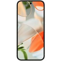 Google Pixel 9 256GB porcellana - Ricondizionato - buono - Grade B