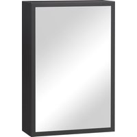 kleankin Mirror Cabinet, 3 Shelves, Soft Hinges, Steel Housing, Black, 40 x 15 x 60 cm | Aosom Ireland