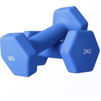 SPORTNOW 2 x 2kg Hexagonal Dumbbells Weights Set with Non-Slip Grip for Home Gym Workout, Blue | Aosom Ireland
