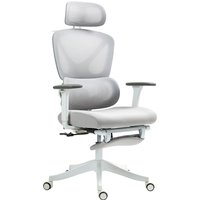 HOMCOM Bürostuhl - Höhenverstellbarer Bürostuhl, neigbare Rückenlehne, 3D-Armlehnen, drehbares Kopfstütze, verstellbare Lendenwirbelstütze, Netz-Bürositz, 71x70x119cm, Schwarz Aosom