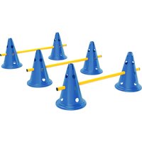 PawHut Dog Agility Equipment Set of Six Cones, Six Poles with Carry Bag, Three-Piece Adjustable Height Jumping Obstacles, Blue | Aosom Ireland