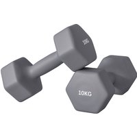 SPORTNOW Set 2 Haltères Hexagonaux de 2x10 kg en Métal et Plastique avec Poignée Antidérapante, 26x12x12 cm, Gris