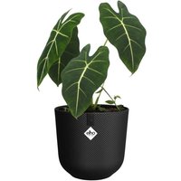 ELHO Pot de fleur Jazz Rond - Noir - Ø 26 x H 24 cm - Intérieur - 100% recyclé