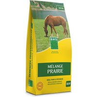 Gazon - BHS - Mélange Prairie 5kg 500m² Pour zones extensives et pâturage Installation rapide, résistant, sans entretien.