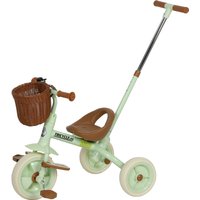 AIYAPLAY Tricycle pour bébés 2 en 1 pour 2-5 ans avec barre parentale, pédales antidérapantes, repose-pieds pliables et panier vert