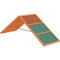 PawHut Dog Agility Equipment, Dog Playground Equipment with Non-slip Surface, A-frame, Agility Ramp for All Breeds, Orange | Aosom Ireland