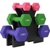SPORTNOW Hex Dumbbells Set with Dumbbell Rack, Hand Weights for Strength Training Weight Lifting, 2 x 1kg, 2 x 3kg, 2 x 5kg | Aosom Ireland