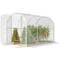 Outsunny Serre de jardin tunnel 3 x 2 x 2 m 6 m² avec porte à charnières bâche en PE 150 g/m² pour Légumes Plantes Fleurs