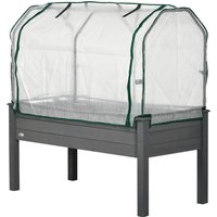Protégez vos plantes des nuisibles