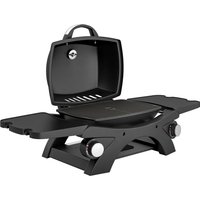 2 Burner Gas Grill 2 Detachable Side Tables 3.8 KW Steel Barbecue Grill Cast Iron Grates Lid Thermometer