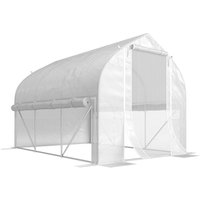 3 x 2m Walk Polytunnel Greenhouse Zipped Roll Up Sidewalls Mesh Door Mesh Windows Tunnel Warm House Tent w PE Cover Aosom UK