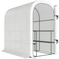 Walk Greenhouse Shelves Small Greenhouse PE Cover Roll up Door 123 x 187 x 189 cm