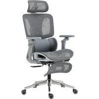 Ergonomic Office Chair High Back Mesh Desk Chair