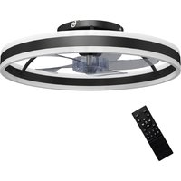 Ceiling Fan Light Remote LED Mount Ceiling Fan 3 Temperatures 6 Speed 50 cm