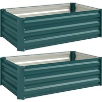 Set Two 60 x 100cm Galvanised Steel Planters