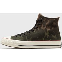 Converse Men's Chuck 70 Canvas Ltd Sneaker Graphic Brown Green