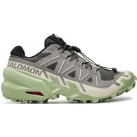 Laufschuhe Salomon Speedcross 6 L47582000 Grau