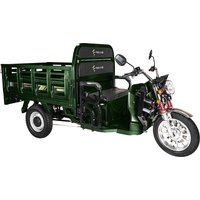 Freejoyer FW5 Electric Cargo Tricycle 3000W 72V 58Ah Green