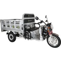 Freejoyer FW5 Electric Cargo Tricycle 3000W 72V 58Ah Silver