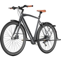 Fafrees F700M Electric Bike 250W 36V 10Ah Black
