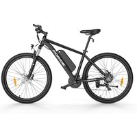 Foride Xtremer 1 36V 250W 13Ah 29 inch Tires Electric Bike