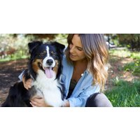 Learn Dog Behavior & Animal Care at Your Own Pace