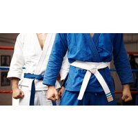 Choice of Karate Classes