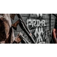 Archery or Axe Throwing Session
