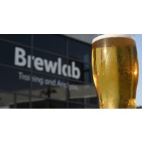Brewery Tour with Beer & Cheese Pairing for 1, 2, or 4 Guests