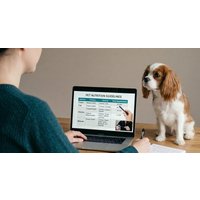 Pet Grooming Course