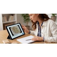 Testing - Allergy / Food Intoler