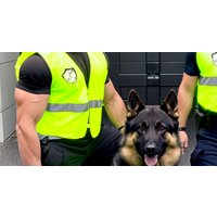 Guard / Patrol