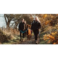 Up to 38% Off Alpaca Walking at Wetley Moor Alpacas