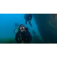 Bucket List Diver