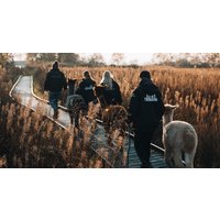 Wetley Moor Alpacas