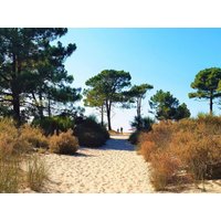 Holiday home in Calvi from £60 per night