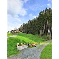 Holiday apartment in Hohe Salve from £187 per night