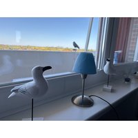 Ferienwohnung in Weser-Ems ab CHF 62 pro Nacht