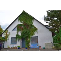 Holiday apartment in Güster from £151 per night