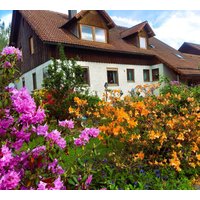 Holidu Aktion 28% Rabatt auf Ferienhaus in Schönsee ab CHF 31Nacht