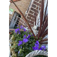 Holiday home in Eu from £47 per night