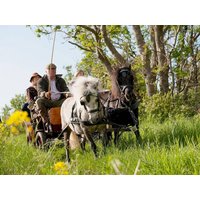 Holiday home in Groß Kordshagen from £81 per night