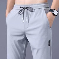Men's Summer Quick-Dry Ice Silk Casual Pants – Breathable, Slim Fit, Straight Leg 5XL light gray
