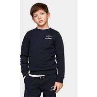 Tommy Hilfiger Džemperis ar kapuci Th