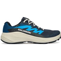 Salomon Skriešanas apavi Alphaglide Gtx L47975100